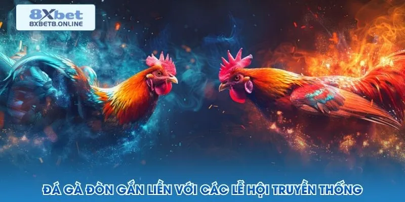 Đá gà đòn gắn liền với các lễ hội truyền thống